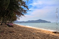Bangsaray Strand im Schatten der Palmen