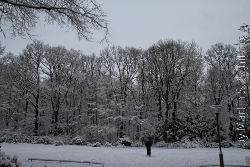 Hamburg - Stadtpark im Schnee Bild 1