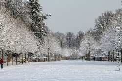 Hamburger Sstadtpark im Schnee Bild 6