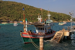Koh Larn Fischerboot am Kai Bild 1