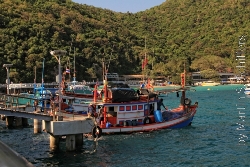 Koh Larn Mehrere Fischerboote am Kai.