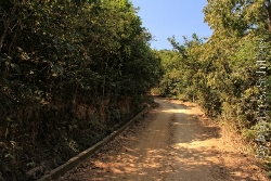 Koh Larn Weg im wat